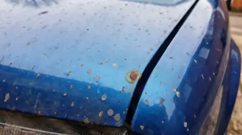 The leading edge of a car bonnet peppered with small stone chips, several down to grey primer and one beginning to show a rust halo.