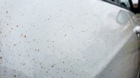 A macro view of a white car panel speckled with tiny rust-orange iron fallout particles embedded in the clear coat.