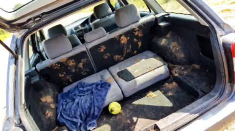 Muddy dog paw prints across the back seat of an estate car, with dog hair matted into the upholstery.